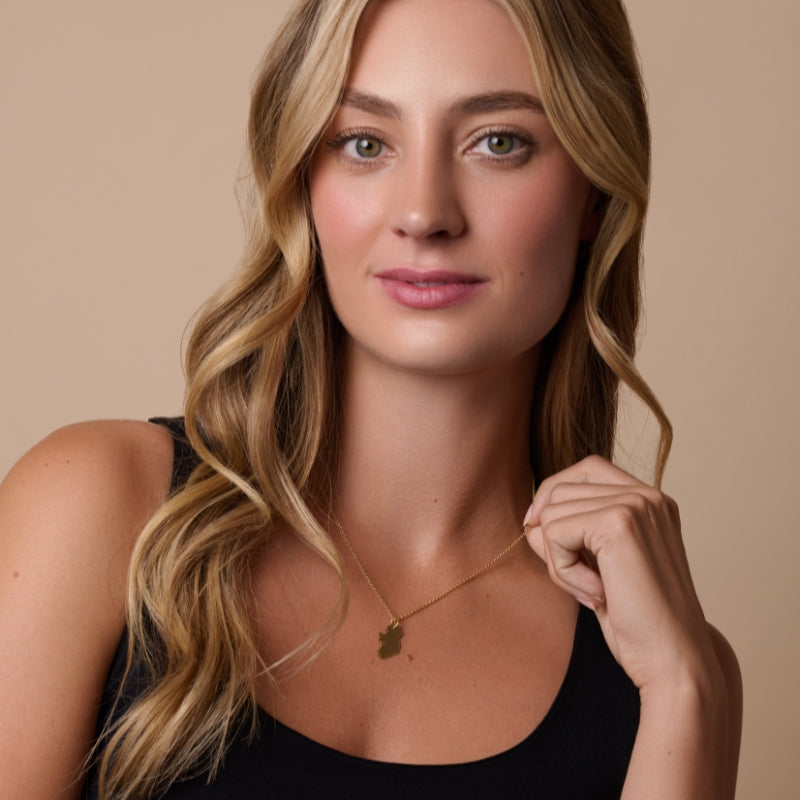 Gold Tone Ireland Map Necklace