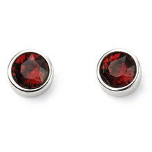 Silver Crystal Birthstone Earrings-December